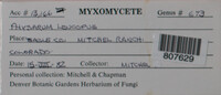 Image Associated With the Occurence